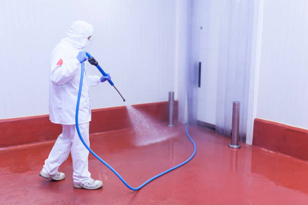 Best Patio and Deck Pressure Washing  in Salem, SD