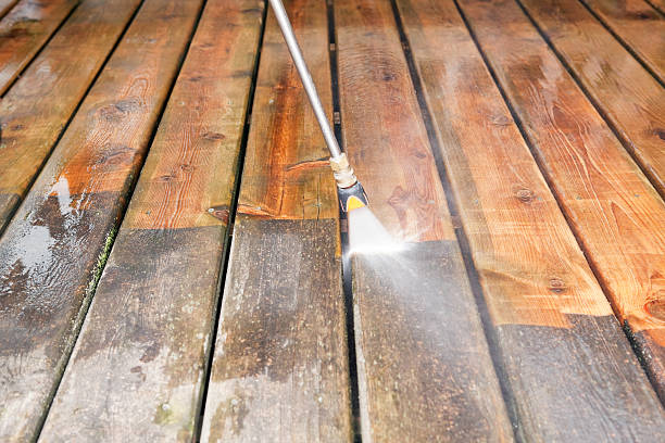 Best Fence Cleaning  in Salem, SD